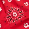 Cotton Wreath Bandana con diseño de corona y estampado de paisley, rojo