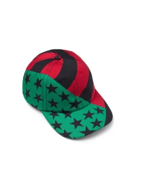 Gorra DT Flag