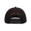 Gorra DT Panther negra