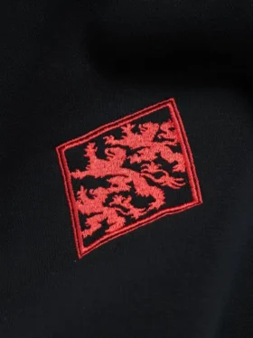 Jersey de cuello redondo con bloques de color DT Sport, negro