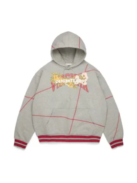 Sudadera con capucha DT Virginia con costura overlock, gris