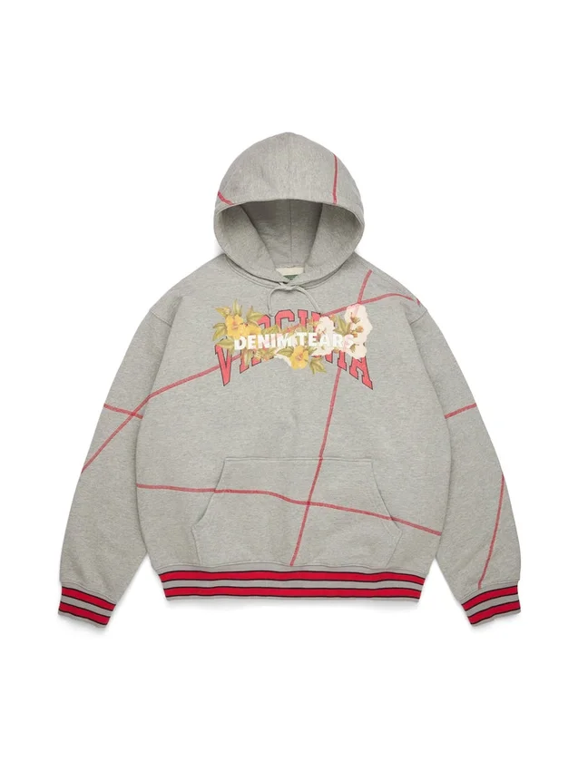 Sudadera con capucha DT Virginia con costura overlock, gris