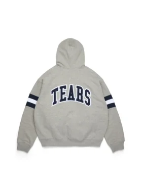 Sudadera con capucha y cremallera a rayas DT, gris